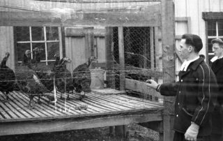 It’s November, and most turkeys are running a little nervous! During their daily post-supper recreational walk, two of the novices at the Legacy Baltimore District Novitiate (Ammendale, MD) check out the poultry pens of the novitiate’s farm during the 1950s, several weeks before the big Thanksgiving meal.